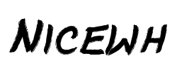 Nicewh - logo